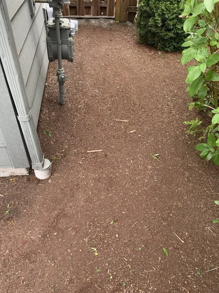 Expert lawn care service in Bellevue, WA by De La Cruz Landscaping