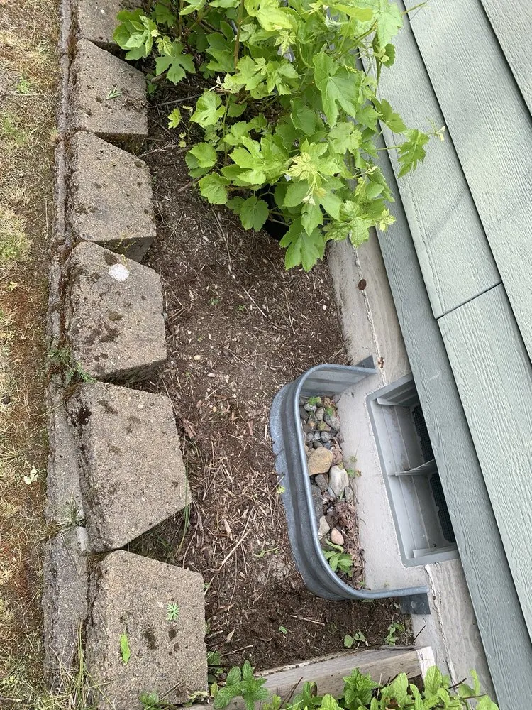 Custom yard maintenance in Bellevue, WA by De La Cruz Landscaping