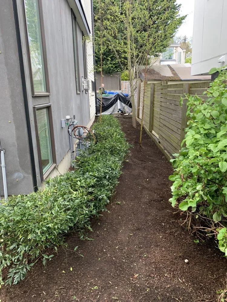 Expert yard cleanup service in Bellevue, WA by De La Cruz Landscaping