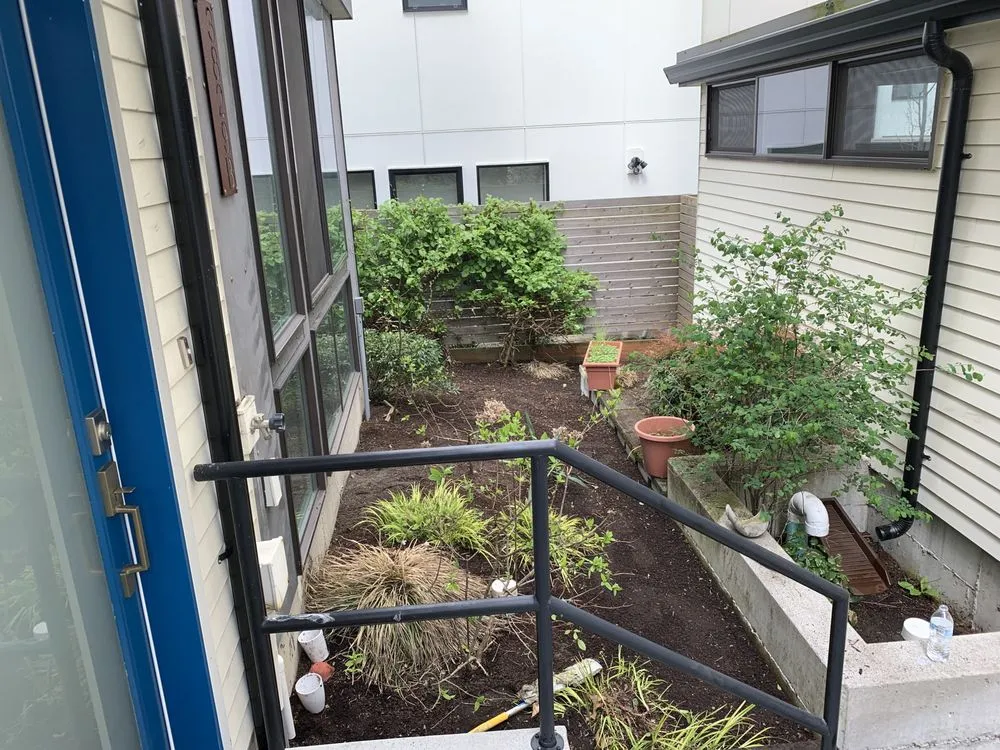 Affordable outdoor landscaping for homes in Bellevue, WA by De La Cruz Landscaping