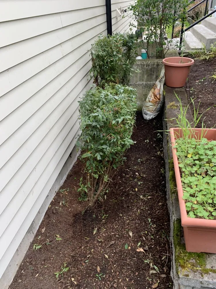 Professional landscape design in Bellevue, WA - De La Cruz Landscaping