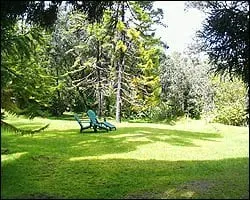 Top-rated lawn care service in Bellevue, WA by De La Cruz Landscaping