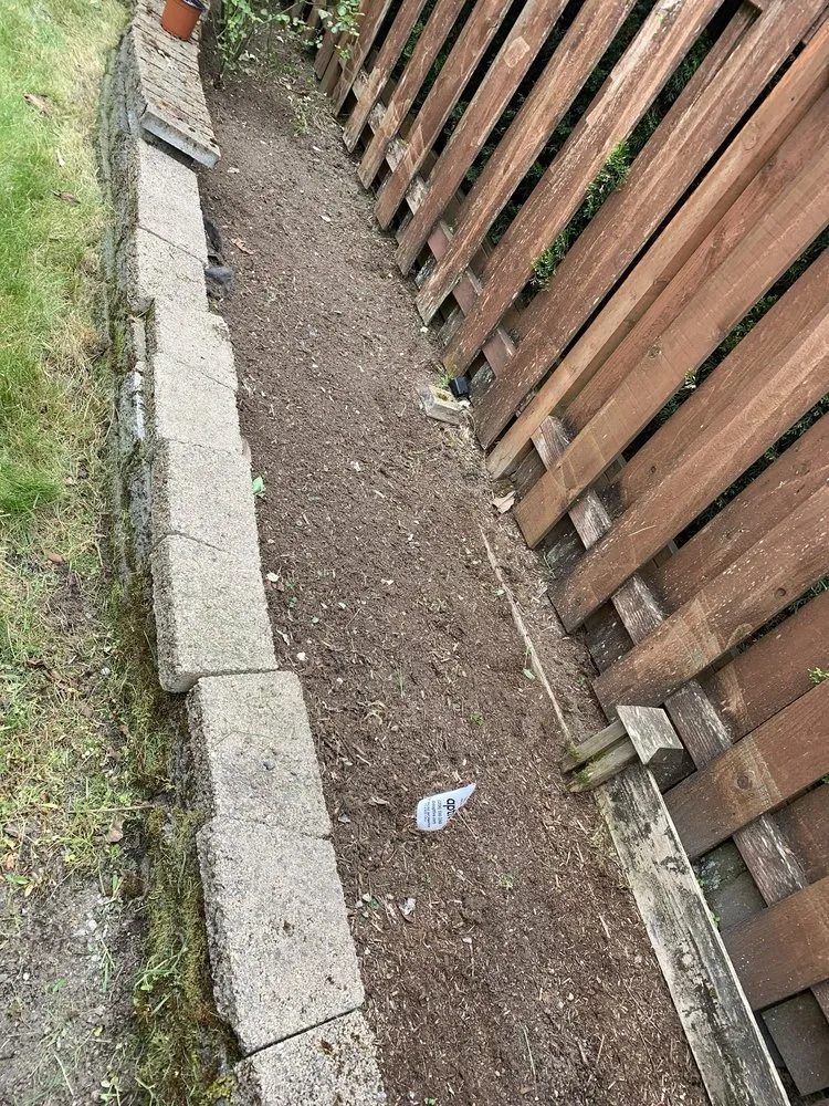 Reliable lawn care service for outdoor upgrades across Bellevue, WA - De La Cruz Landscaping