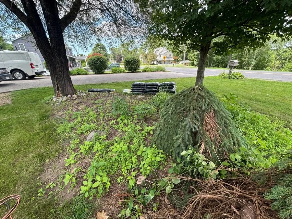 Affordable residential landscaping in Petersburg, VA - De la Cruz Landscaping