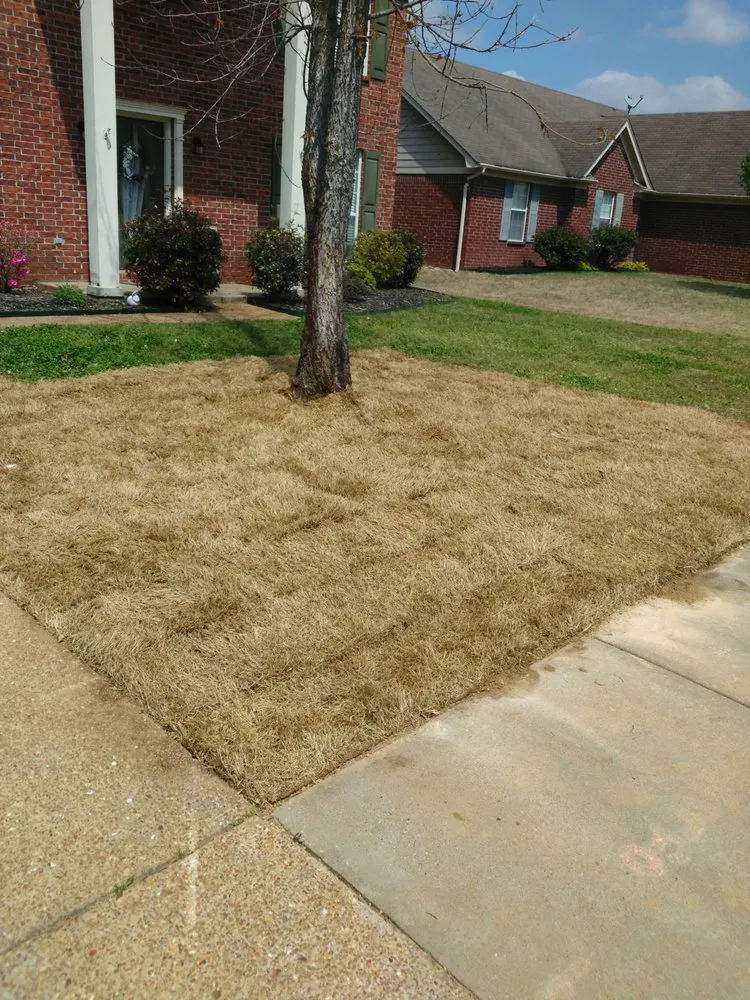 Top-rated landscaping services in Memphis, TN - De La Cruz Lawn & Landscaping
