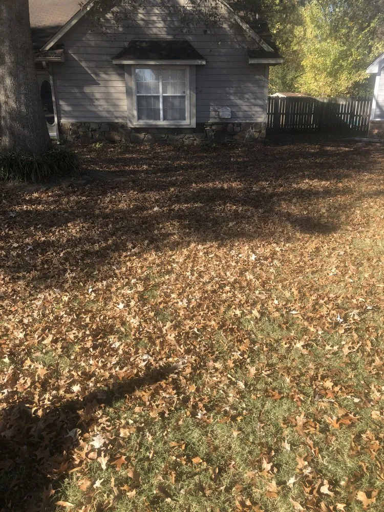 Local landscape design for outdoor upgrades in Memphis, TN by De La Cruz Lawn & Landscaping