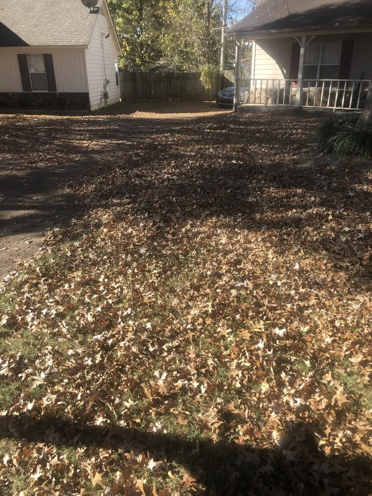 Professional landscape installation experts serving Memphis, TN - De La Cruz Lawn & Landscaping