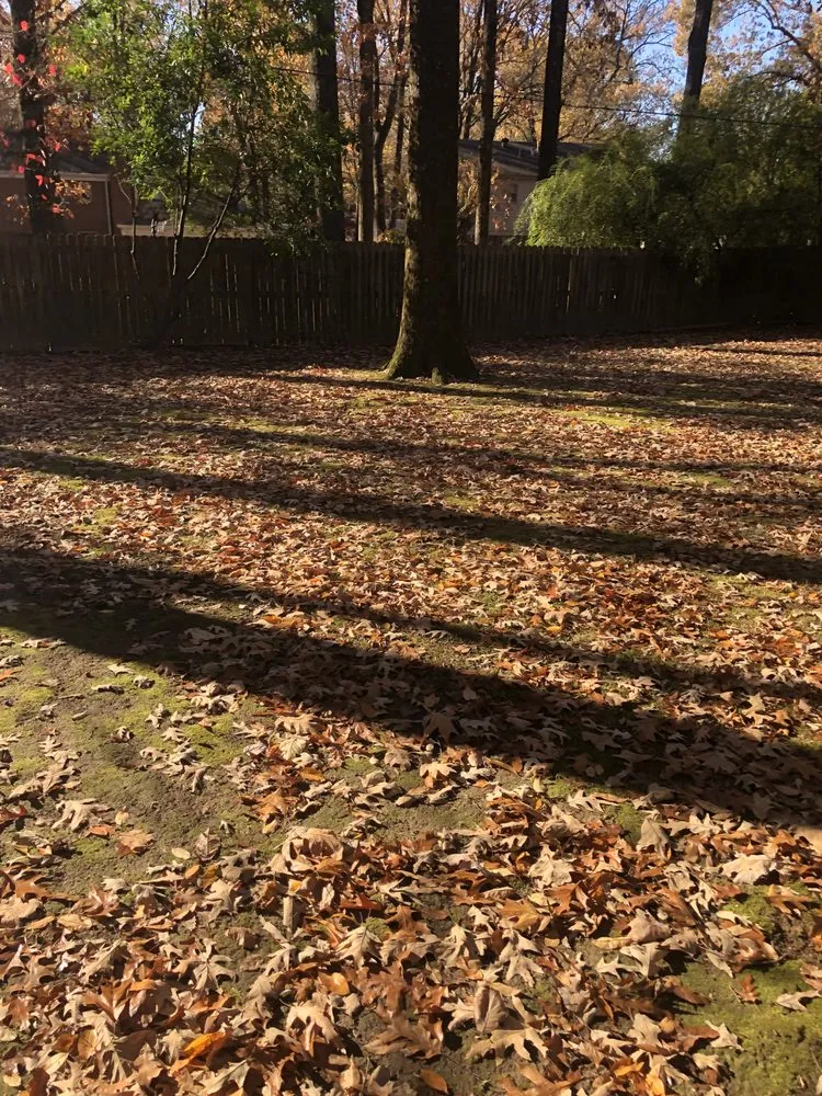 Custom landscape installation in Memphis, TN by De La Cruz Lawn & Landscaping