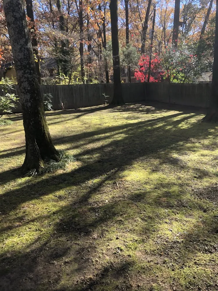 Reliable landscape design for outdoor upgrades in Memphis, TN by De La Cruz Lawn & Landscaping