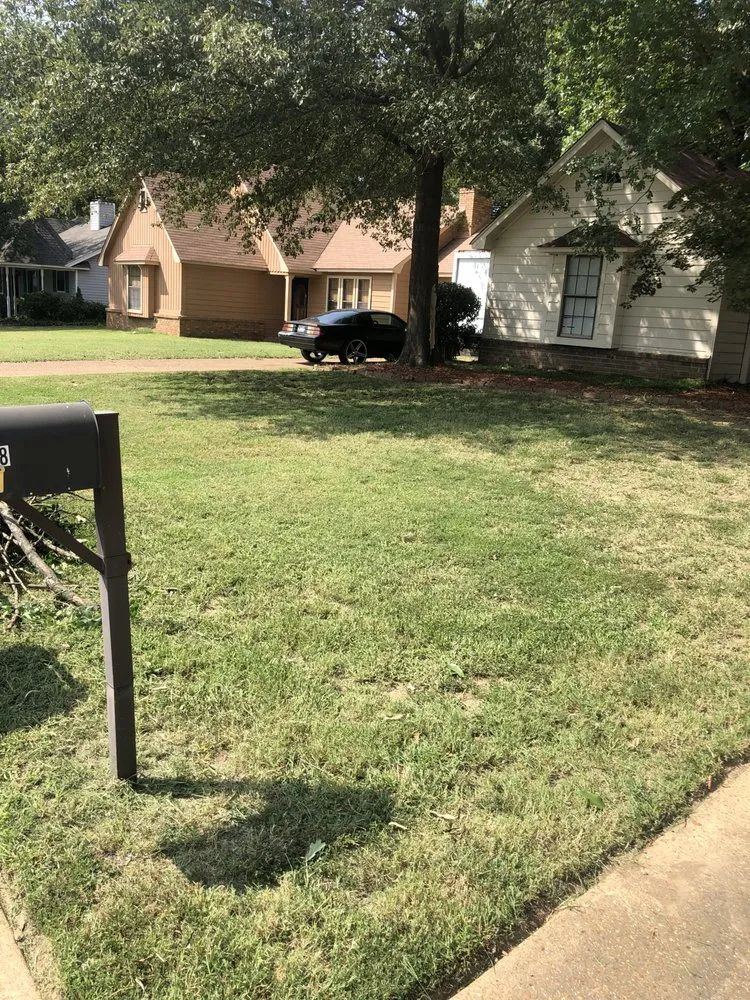 Affordable yard cleanup service with custom design across Memphis, TN - De La Cruz Lawn & Landscaping