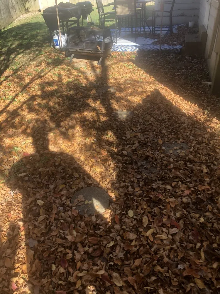 Affordable garden landscaping in Memphis, TN by De La Cruz Lawn & Landscaping