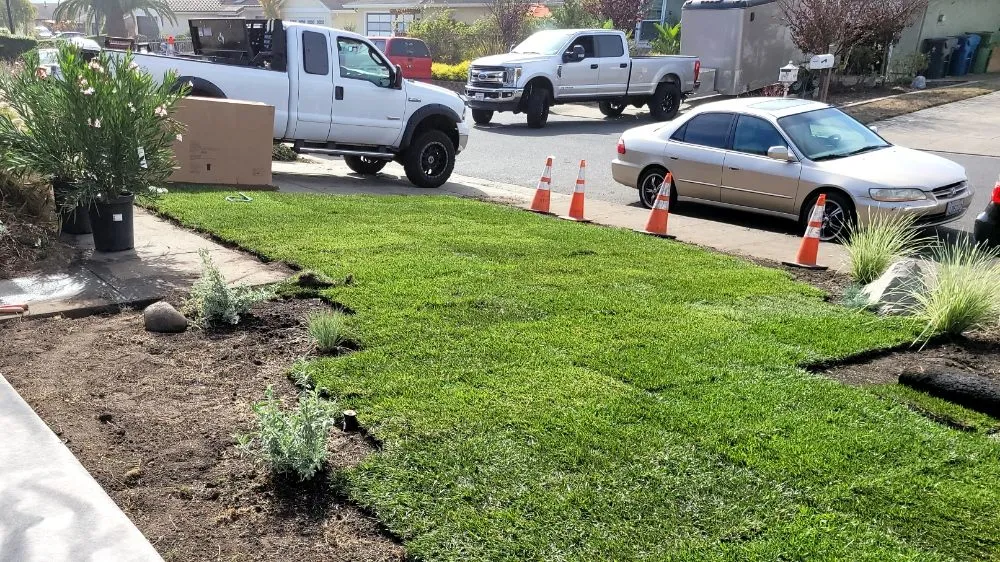 Trusted landscape design near you across Santa Clara, CA - De La Cruz Pro Gardening