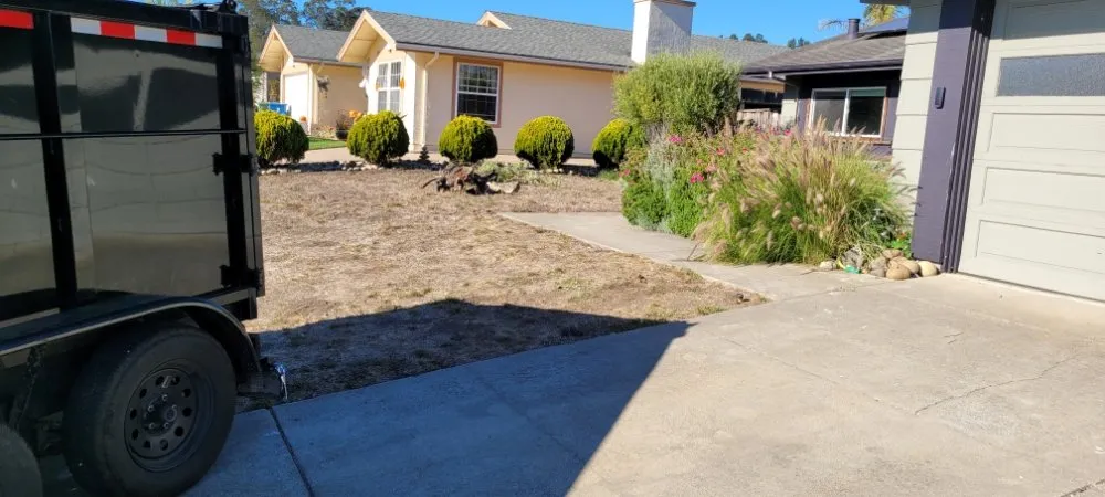 Expert lawn care service in Santa Clara, CA - De La Cruz Pro Gardening