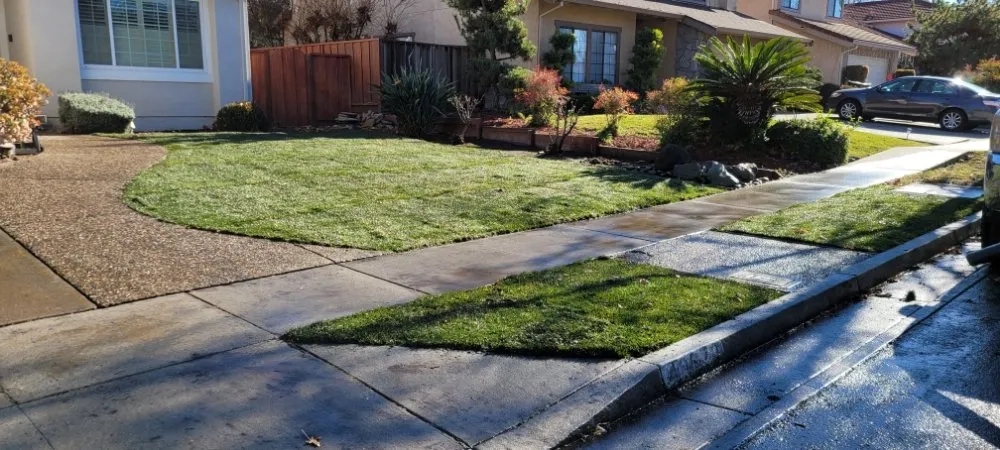 Top-rated outdoor landscaping experts serving Santa Clara, CA - De La Cruz Pro Gardening