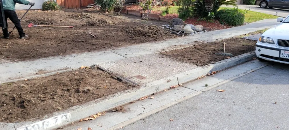 Top-rated outdoor landscaping near you across Santa Clara, CA - De La Cruz Pro Gardening