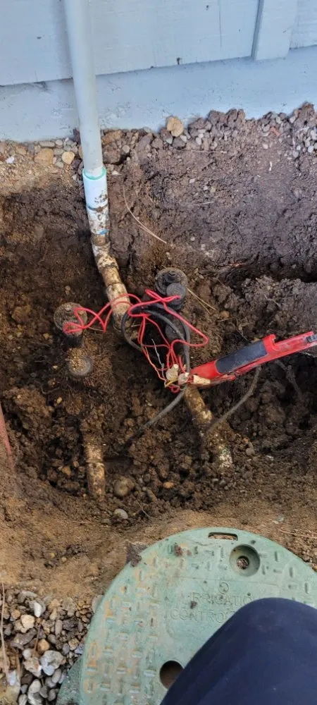 Reliable lawn mowing service in Santa Clara, CA by De La Cruz Pro Gardening