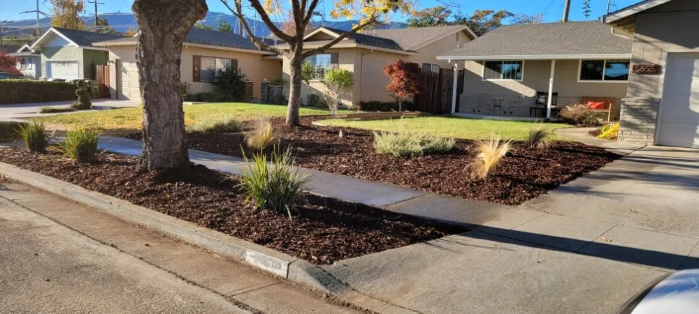 Expert lawn care service in Santa Clara, CA by De La Cruz Pro Gardening