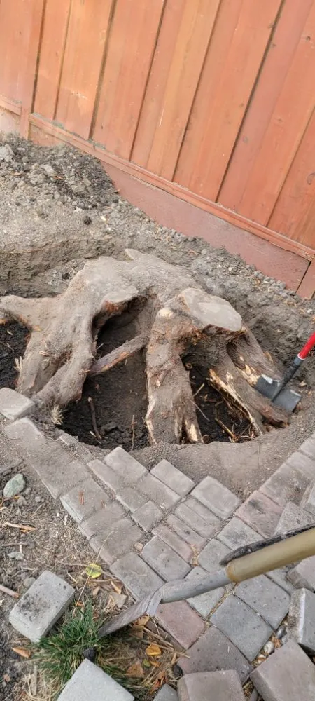 Custom landscaping services near you across Santa Clara, CA - De La Cruz Pro Gardening