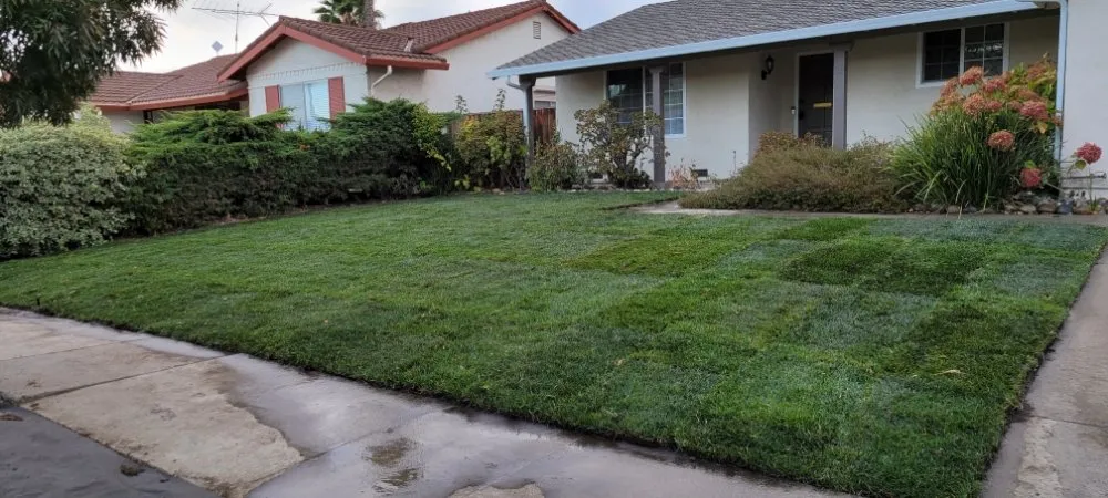 Trusted garden landscaping experts serving Santa Clara, CA - De La Cruz Pro Gardening