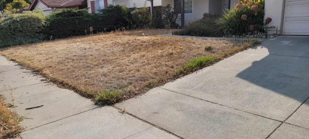 Local outdoor landscaping with custom design across Santa Clara, CA - De La Cruz Pro Gardening