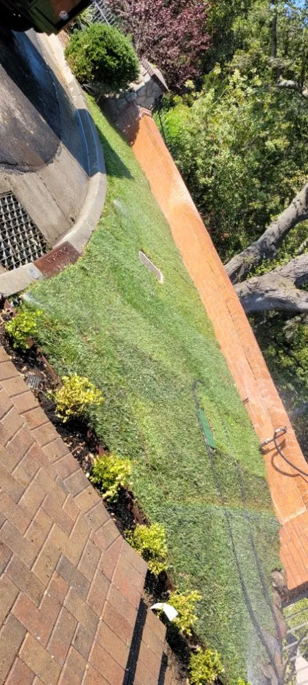 Trusted landscaping services in Santa Clara, CA by De La Cruz Pro Gardening