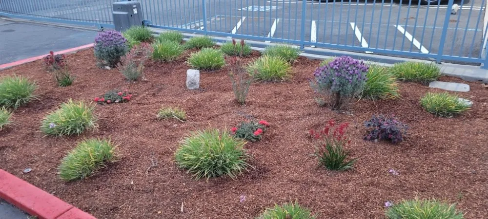 Expert landscape installation experts serving Santa Clara, CA - De La Cruz Pro Gardening