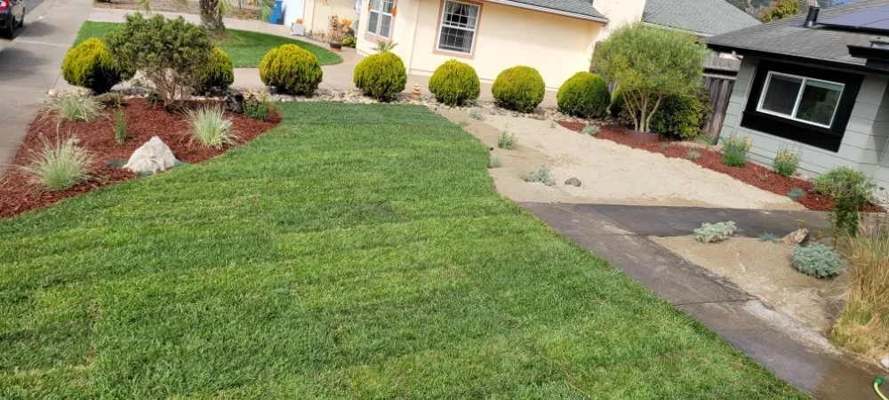 Trusted landscape installation in Santa Clara, CA - De La Cruz Pro Gardening