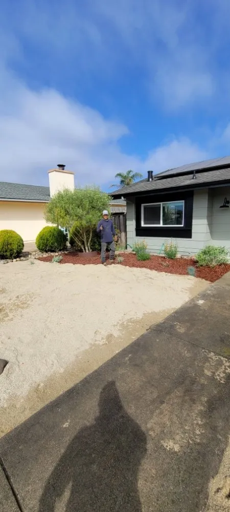 Professional landscape installation in Santa Clara, CA by De La Cruz Pro Gardening