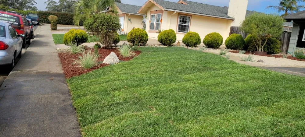 Trusted lawn care service in Santa Clara, CA by De La Cruz Pro Gardening