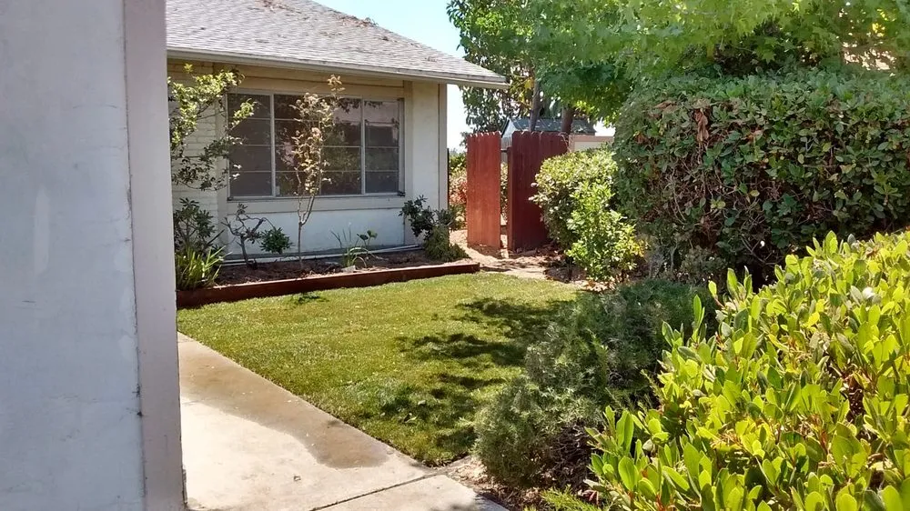 Custom residential landscaping for beautiful yards in San Diego, CA by De La Rosa Landscaping