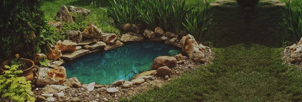 Top-rated landscape design experts serving San Diego, CA - De La Rosa Landscaping