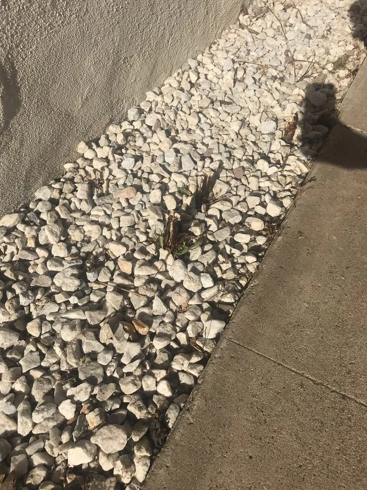 Affordable lawn care service in San Diego, CA - De La Rosa Landscaping