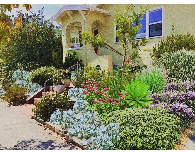 Reliable residential landscaping in Oakland, CA - De La Tierra Landscape Design