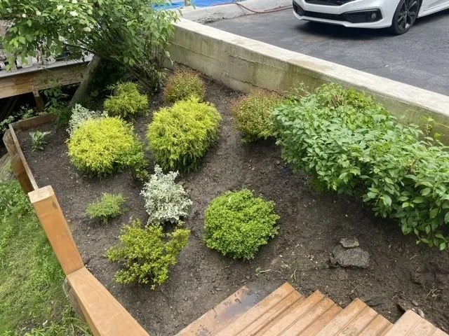 Expert lawn care service near you in Croton-on-Hudson, NY by De La Tierra Landscaping