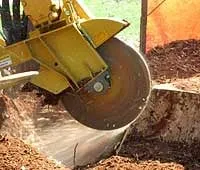 Professional landscape installation for residential properties across Burlingame, CA - De La Vega Tree Service