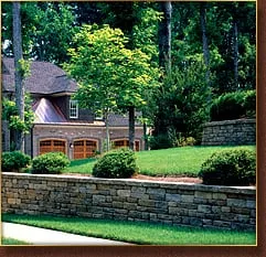 Custom yard cleanup service for year-round maintenance across Burlingame, CA - De La Vega Tree Service