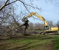 Expert garden landscaping in Burlingame, CA by De La Vega Tree Service