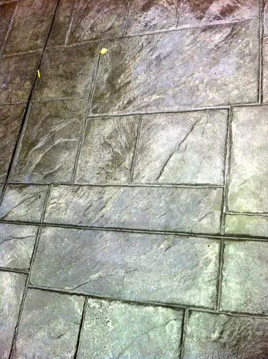 Top-rated residential landscaping in Burlingame, CA by De La Vega Tree Service