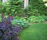 Trusted outdoor landscaping in Burlingame, CA by De La Vega Tree Service