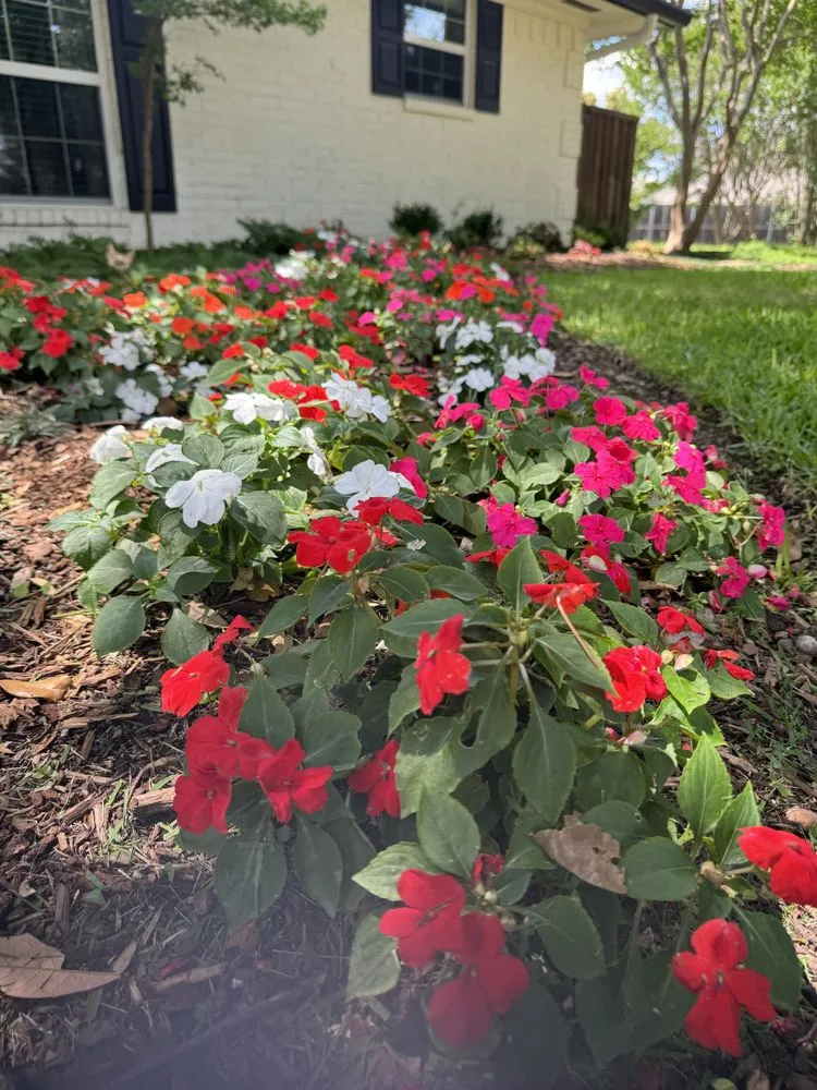 Custom yard cleanup service for residential properties in Garland, TX by D&E Landscape Maintenance