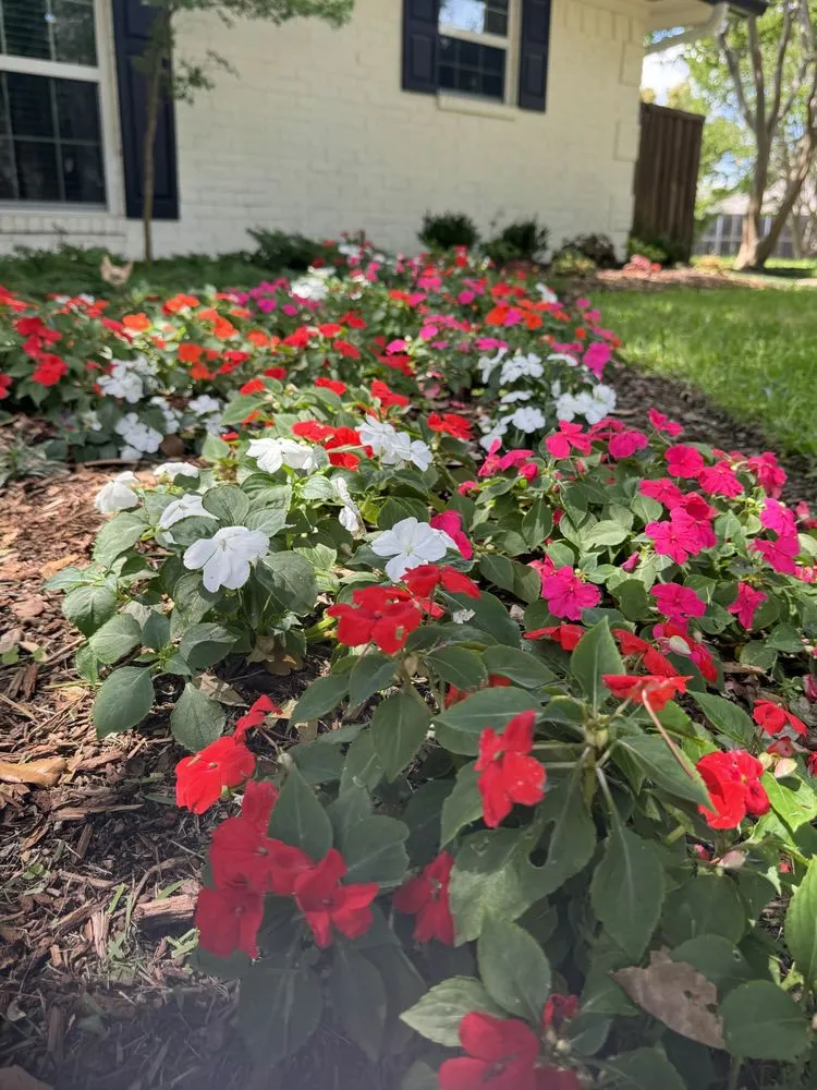 Trusted landscape design experts serving Garland, TX - D&E Landscape Maintenance