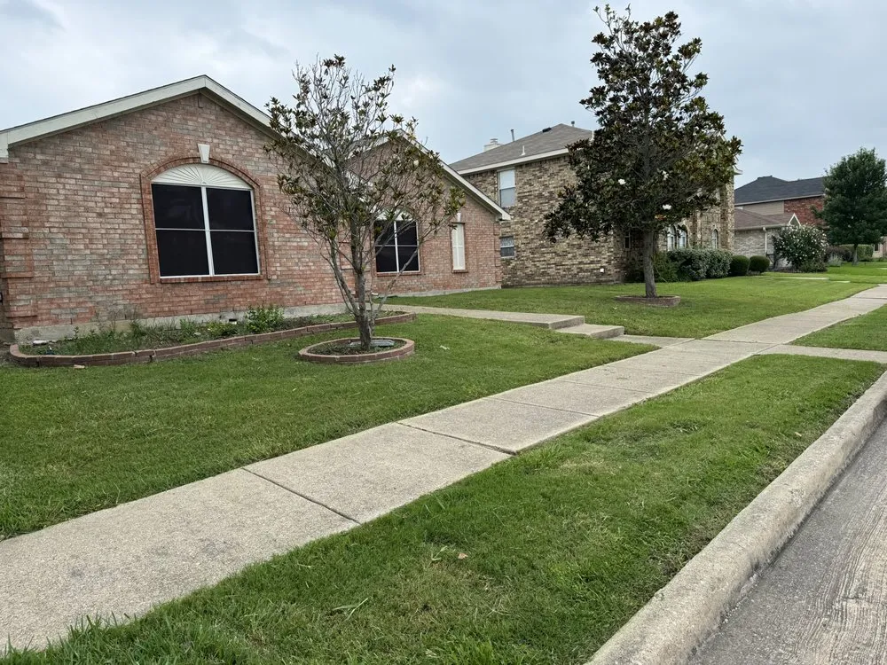 Custom yard cleanup service experts serving Garland, TX - D&E Landscape Maintenance