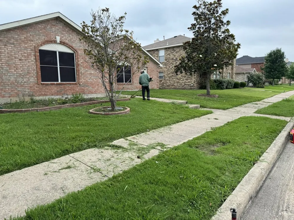 Professional lawn care service for year-round maintenance across Garland, TX - D&E Landscape Maintenance