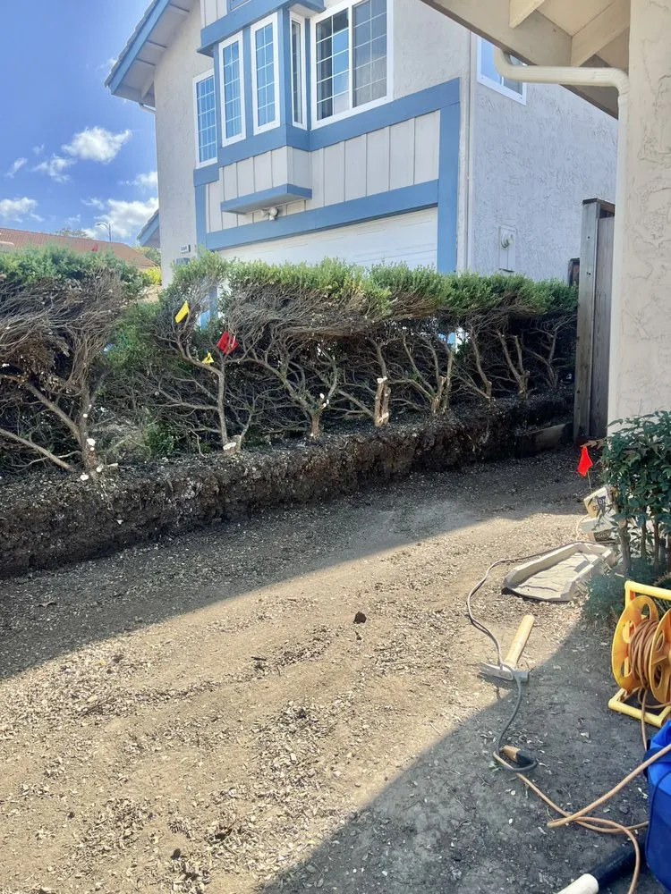 Reliable lawn mowing service for residential properties across Gilroy, CA - D&E Landscaping and Concrete