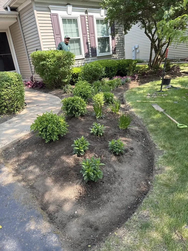 Professional yard cleanup service experts serving Aurora, IL - D&E Landscaping