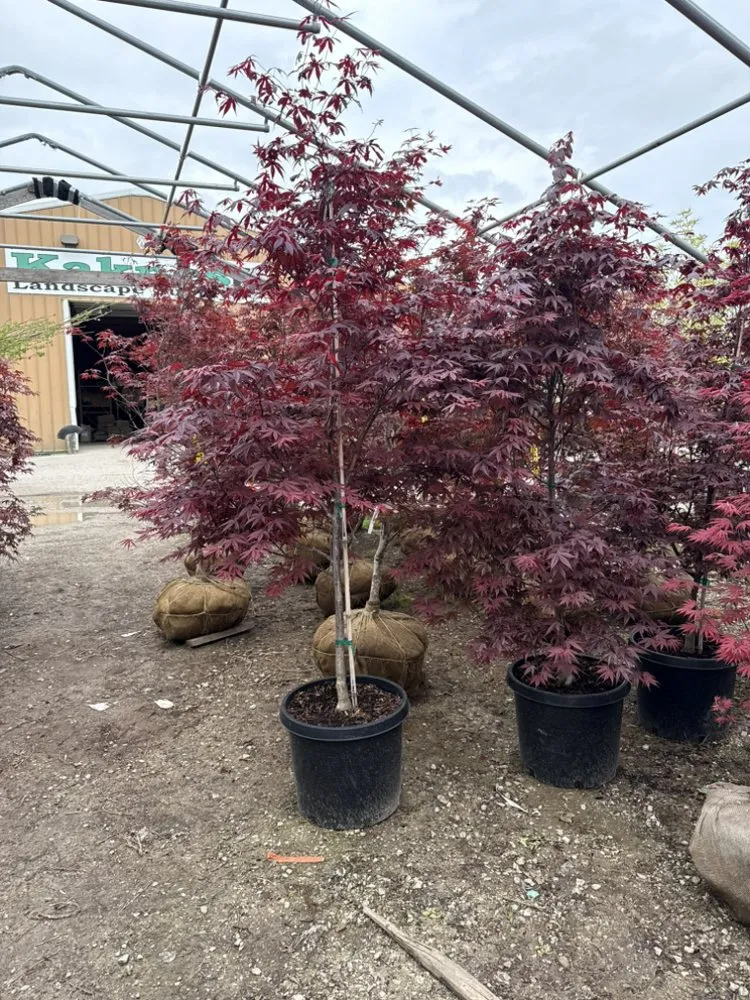 Professional garden landscaping in Aurora, IL by D&E Landscaping