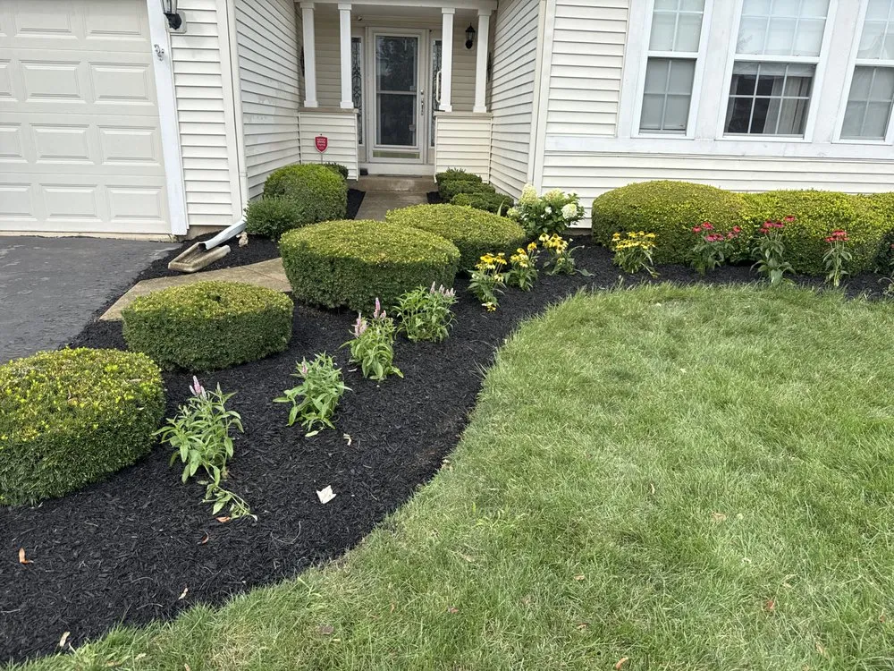 Affordable yard cleanup service in Aurora, IL by D&E Landscaping