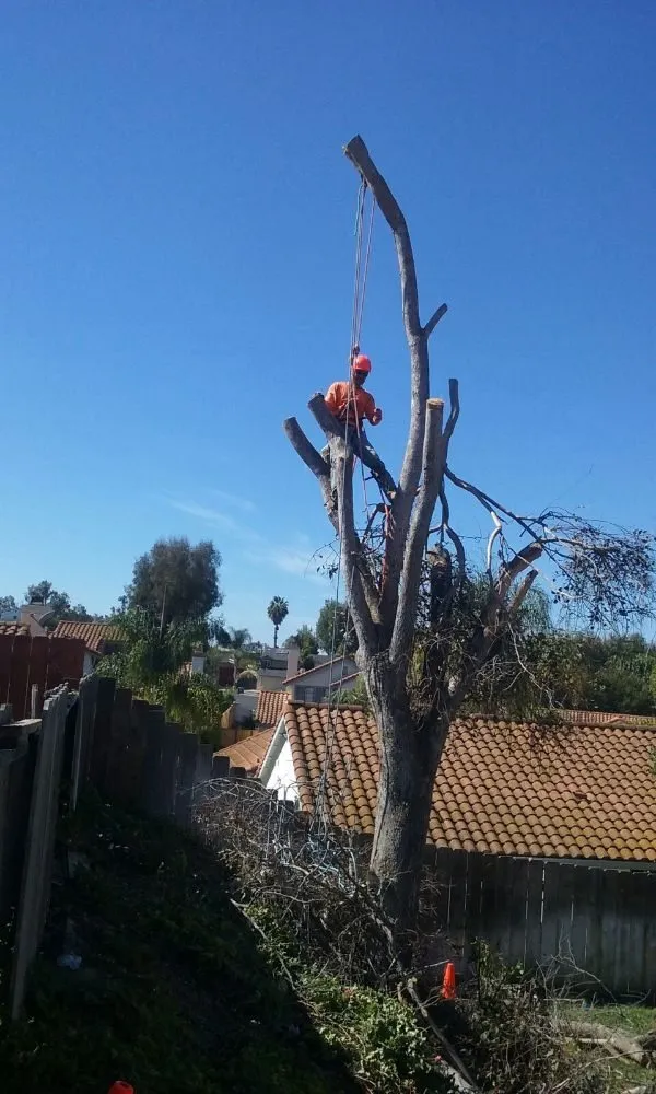 Custom residential landscaping experts serving Oceanside, CA - D&E Landscaping