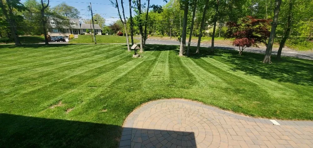 Top-rated yard cleanup service in Somerville, NJ - D&E Landscaping