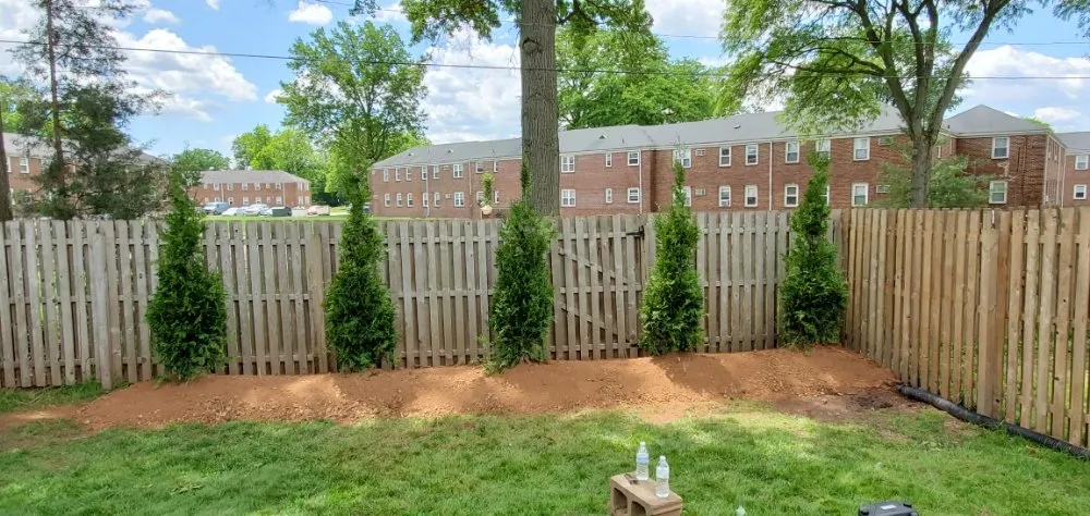 Local yard cleanup service with custom design in Somerville, NJ by D&E Landscaping